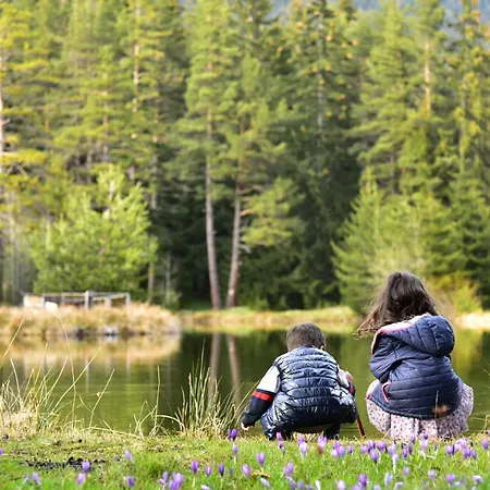 Life House-semkovo Semkovo