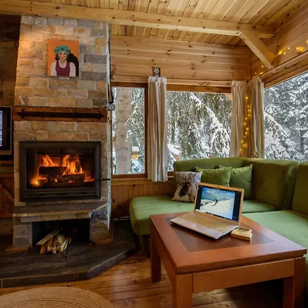 Life House-semkovo Orman Evi Semkovo