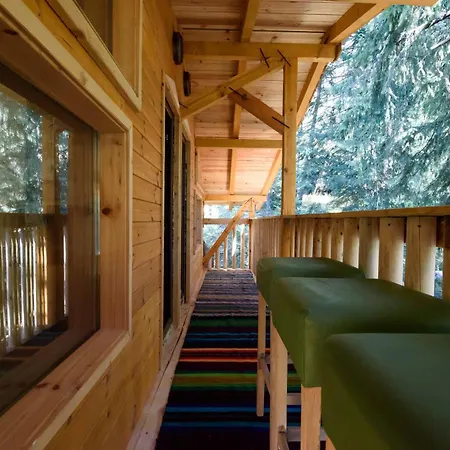 Life House-semkovo Lodge Semkovo
