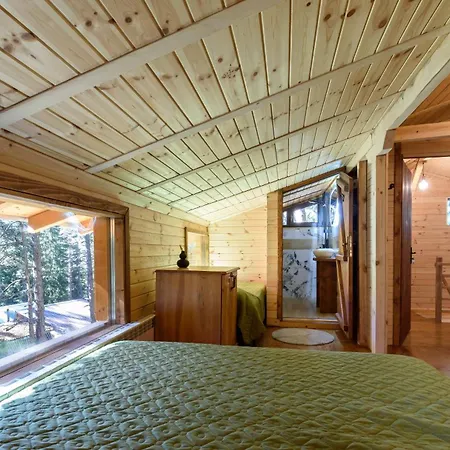 Life House-semkovo *