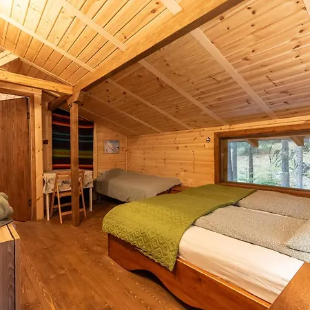 Life House-semkovo Lodge