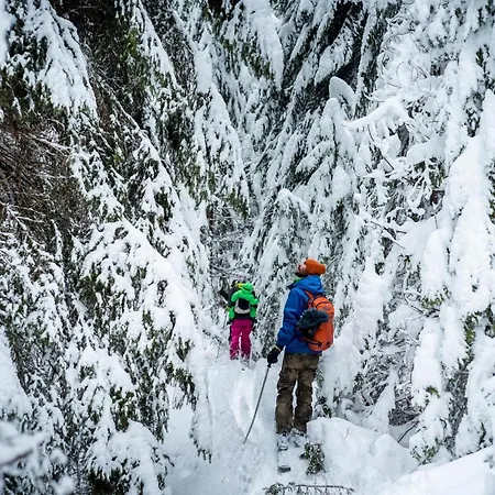 Orman Evi Life House-semkovo Semkovo