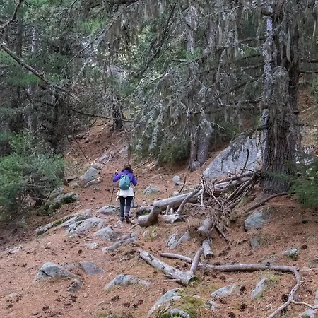 Life House-semkovo *