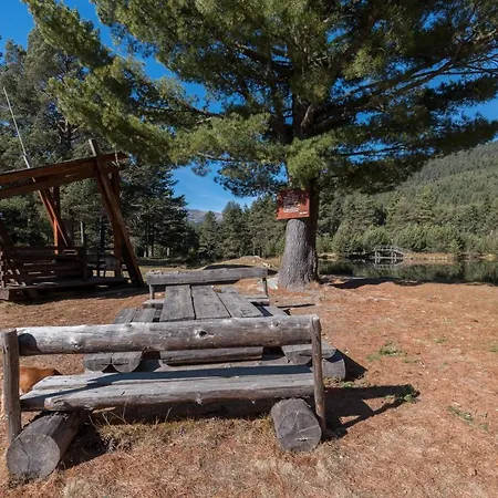 Life House-semkovo *